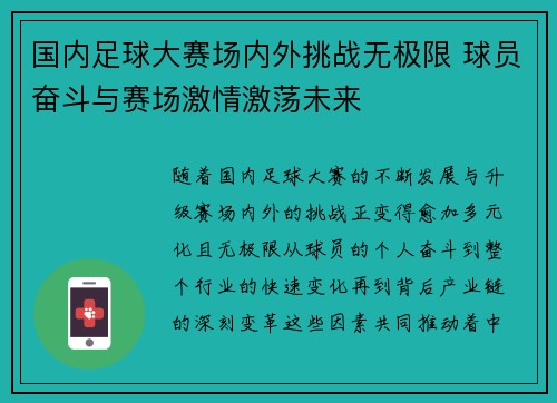 国内足球大赛场内外挑战无极限 球员奋斗与赛场激情激荡未来