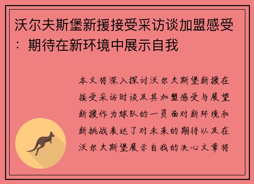 沃尔夫斯堡新援接受采访谈加盟感受：期待在新环境中展示自我